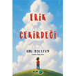 Erik �ekirde�i FOM Kitap