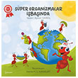 S�per Organizmalar ��ba��nda �kinci Adam Yay�nlar�