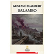 Salambo G�ne� Kitabevleri Yay�nlar�