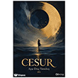 Cesur Od Kitap