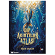 Dip Ak�nt�lar Atlas� K�rm�z� Kedi Yay�nevi