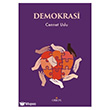 Demokrasi Orion Kitabevi - Akademik Kitaplar