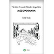 Y�k�nt�lar Aras�nda Y�kselen Uygarl�klar: Mezopotamya Aram Yay�nlar�