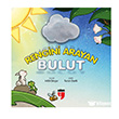 Rengini Arayan Bulut EDAM