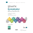 �ematik �� Hukuku Bireysel-�� Hukuku Boyutuyla 3. Bask� Se�kin Yay�nlar�