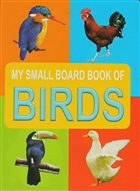 Birds My Small Board Book Of Dreamland Publications