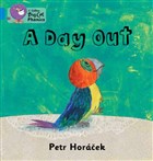 A Day Out (Big Cat Phonics) HarperCollins Publishers