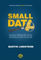 Small Data Optimist Yayn Datm