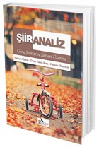 iir Analiz Kuzgun Kitap