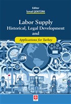 Labor Supply Historical, Legal Development and Applications for Turkey Ekin Basm Yayn - Akademik Kitaplar