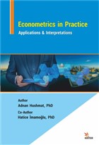 Econometrics in Practice Kriter Yaynlar
