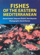 Fishes Of The Eastern Mediterranean Turkish Marine Research Foundation