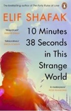 10 Minutes 38 Seconds in this Strange World Penguin Books