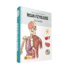 İnsan Fizyolojisi İstanbul Tıp Kitabevi