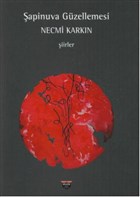 apinuva Gzellemesi Bilgin Kltr Sanat Yaynlar