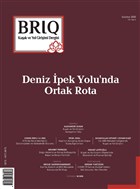 BRIQ Kuşak ve Yol Girişimi Dergisi Türkçe-İngilizce Sayı: 4 Sonbahar 2020 Kuşak ve Yol Girişimi Dergisi (BRIQ) Yayınları