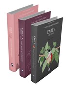 Rüzgarın Kızı Emily Serisi (3 Kitap Takım) Cem Yayınevi
