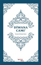 Diwana Cami Banga Heq Yaynlar