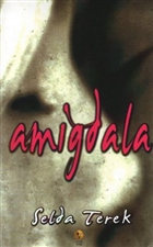 Amigdala Destek Yaynlar