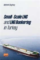 Small-Scale LNG and LNG Bunkering in Turkey Nobel Bilimsel Eserler