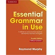 Essential Grammar in Use - without answers