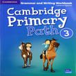 Cambridge Primary Path Level 3 Grammar And Writing Skills Workbook