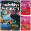 Cambridge Primary Path Level 6 Seti