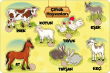 Br Toys Çiftlik Puzzle Çiftlik Hayvanlarını Tanıyalım ilk puzzlem Çocuklar İçin Eğitici-öğretici Ahşap Puzzle