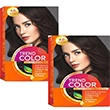 Trend Color Kit Saç Boyası 4.0 Kestane 50 ml 2`li 9905