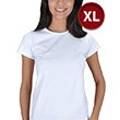 Kadn Bisiklet Yaka Dz Beyaz T-Shirt (XL) Beden