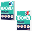 6.SINIF FENOMEN PARAGRAF A ve B SORU BANKALARI SET 